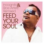 Feed Your Soul Incognito & Rice Artists Remixed