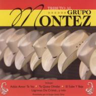 Various/Tributo Al Grupo Montez