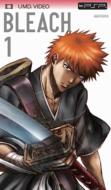 Bleach Agent Of The Soul Reaper Series 1