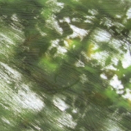 Mushishi The Sore Feet Song C/W Mushiutage