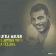 Little Walter/Blowing With A Feeling (24bit)(Digi)