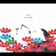 the Indigo/Flair (+dvd)