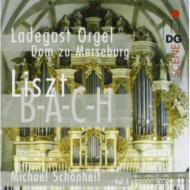リスト（1811-1886）/Organ Works Vol.1： Schonheit +j. s.bach