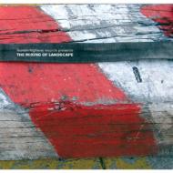 The Mixing Of Landscape