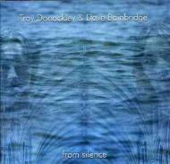Dave Bainbridge/From Silence