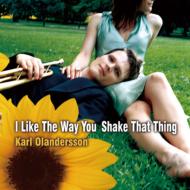 I Like The Way You Shake Thatthing