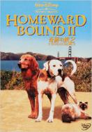 Homeward Bound 2 -Lost In San Francisco-