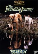 The Incredible Journey