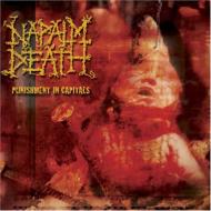 Napalm Death/Punishment In Capitals