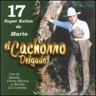 Mario Delgado/17 Super Exitos