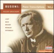 ブゾーニ（1866-1924）/Piano Transcriptions Vol.2： Groschopp(P)