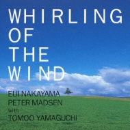 Whirling Of The Wind -���̕���