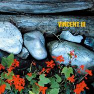 Vincent Atimicus/Vincent 3