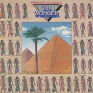 Words Don`t Say Enough