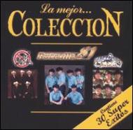 Patrulla 81 / Propiedad / Alacranes Musical/Mejor Coleccion
