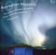˥Хʴɸڡ/Norrbotten Rhapsody Sundkvist / Norrbotten Co