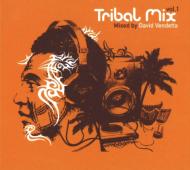 Tribal Mix Vol.1 / Mixed By David Vendetta