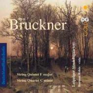 ֥åʡ (1824-1896)/String Quintet String Quartet Leipzig Sq Rohde(Va)