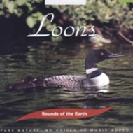 Sounds Of The Earth: Loons