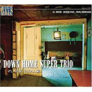 Down Home Super Trio/In The House Live At Lucerne Vol.6