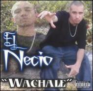 Necio/Wachale