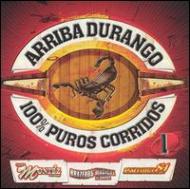 Various/Arriba Durango 100% Puros Corridos Vol.1