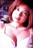 �t�@�C�u�X�^�[ Flavor