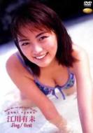 �t�@�C�u�X�^�[ Aug First