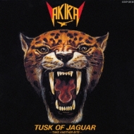 Tusk Of Jaguar