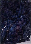 Musical From Chaos 2 Dvd