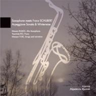 (Saxophone)Arpeggione Sonata: �_���l(Sax)�ɓ��N�p(P)+winterreise