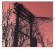 Harris Newman/Accidents With Nature  Each Other