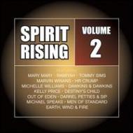 Various/Spirit Rising Vol.2 - Inspirational