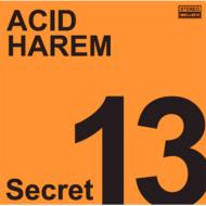 Acid Harem/å13