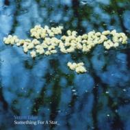 Something For A Star