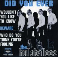Hullaballoos/Did You Ever