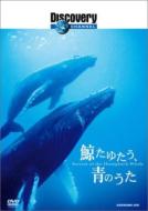 �~���䂽���A�̂���-�f�B�X�J�o���[�`�����l��