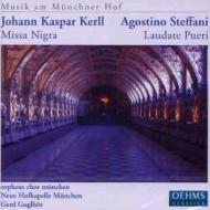롢ϥ󡦥ѡ1627-1693/Missa Nigra Guglhor / Munich Orpheus. cho Etc +steffani