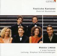 ブクステフーデ（1637-1707）/Festive Cantatas： Schreckenberger / Musica Lingua L'arpa Festante