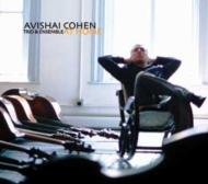 Avishai Cohen (Bassist)/At Home