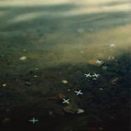 It's All Just Another Aspect Of Mannerism