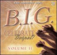 Various/Big Celebrate Gospel Vol.2