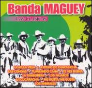 Banda Maguey/Clasicas