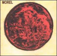 Morel/Lucky Stirke