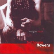Hothouse Flowers/Into Your Heart
