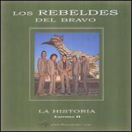 Historia Capitulo Vol.2