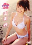 �A�Y�x���[