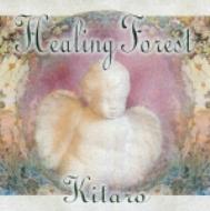 Welcome To Healing Forest