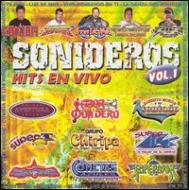 Various/Sonideros Hits En Vivo Vol.1