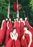 ��2005 �N�x �J�����_�[